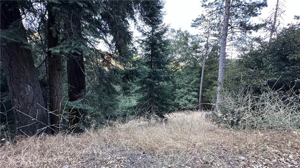 0 Fir Property Photo 3