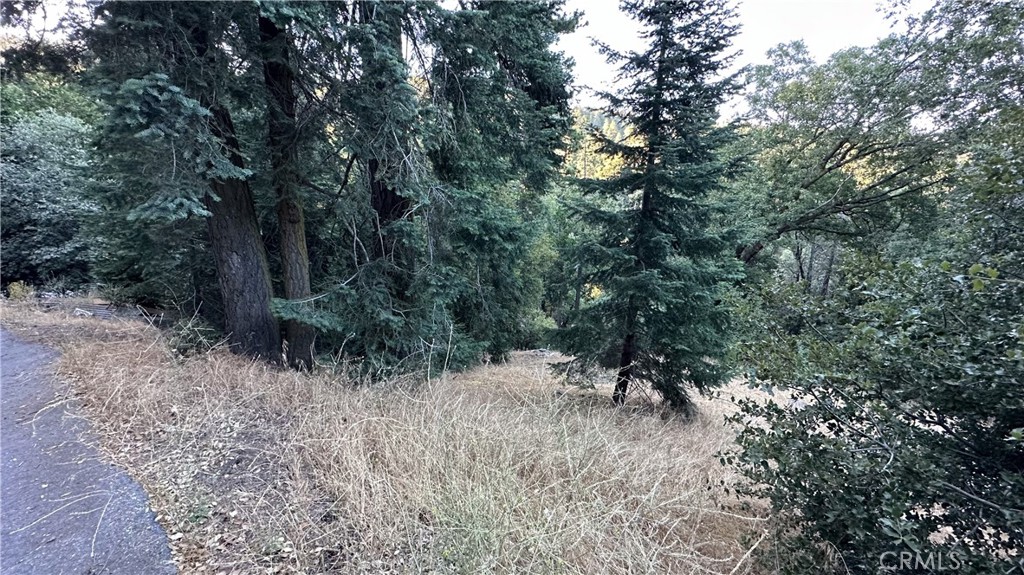 0 Fir Property Photo 4