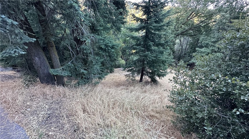 0 Fir Property Photo 5
