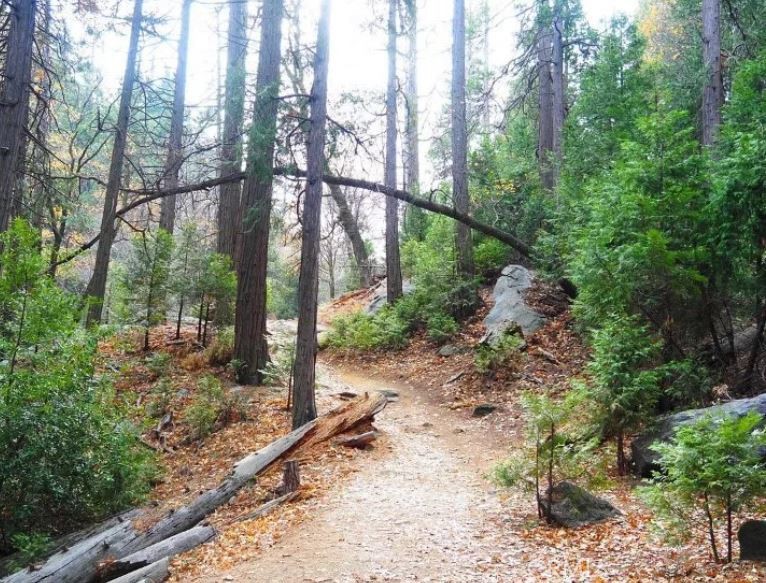 0 Fir Property Photo 14