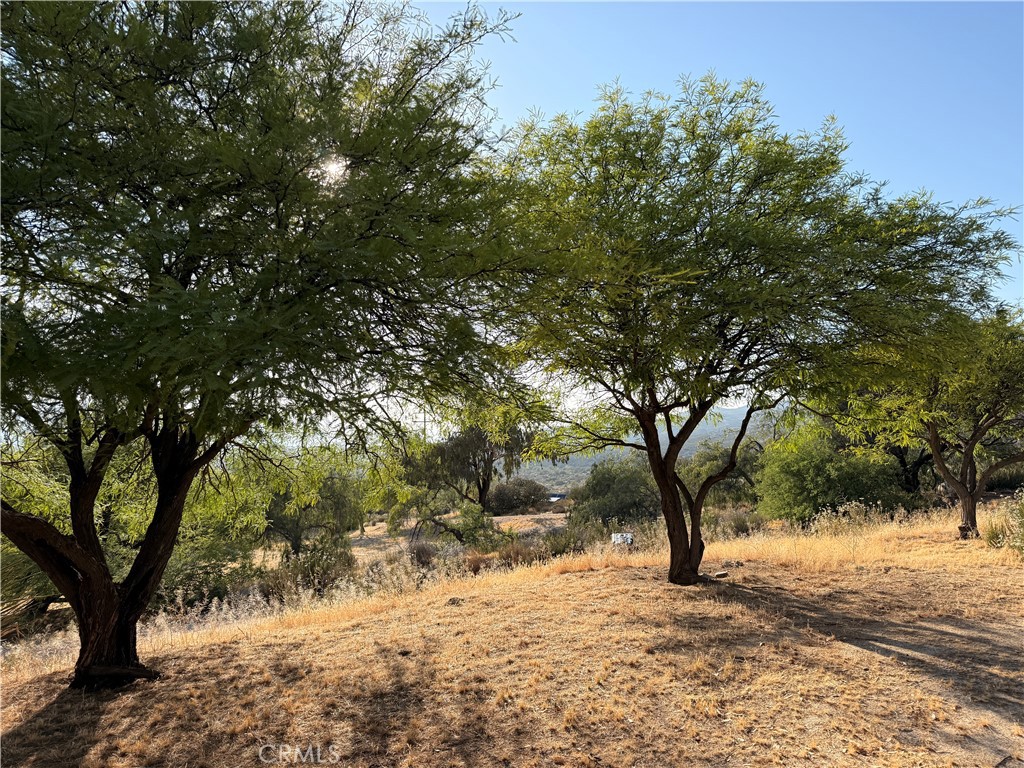 38729 Highway 79 Property Photo 43