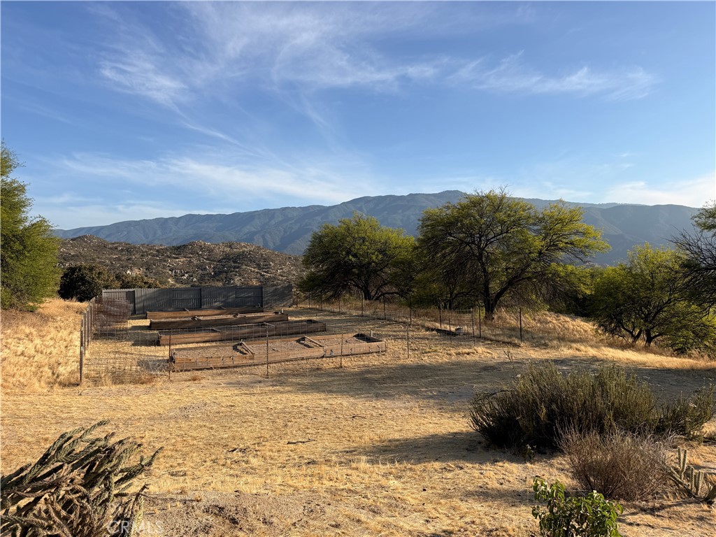 38729 Highway 79 Property Photo 44