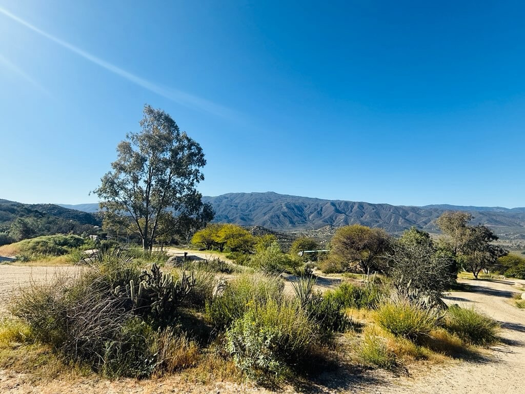 38729 Highway 79 Property Photo 69
