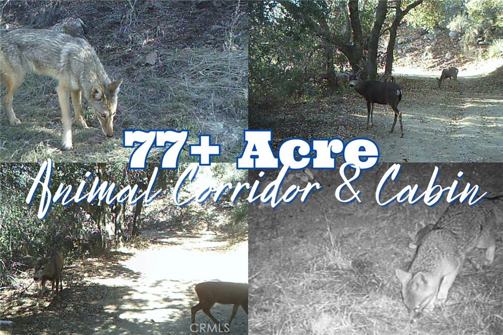 28618 Chihuahua Valley Road Property Photo 3