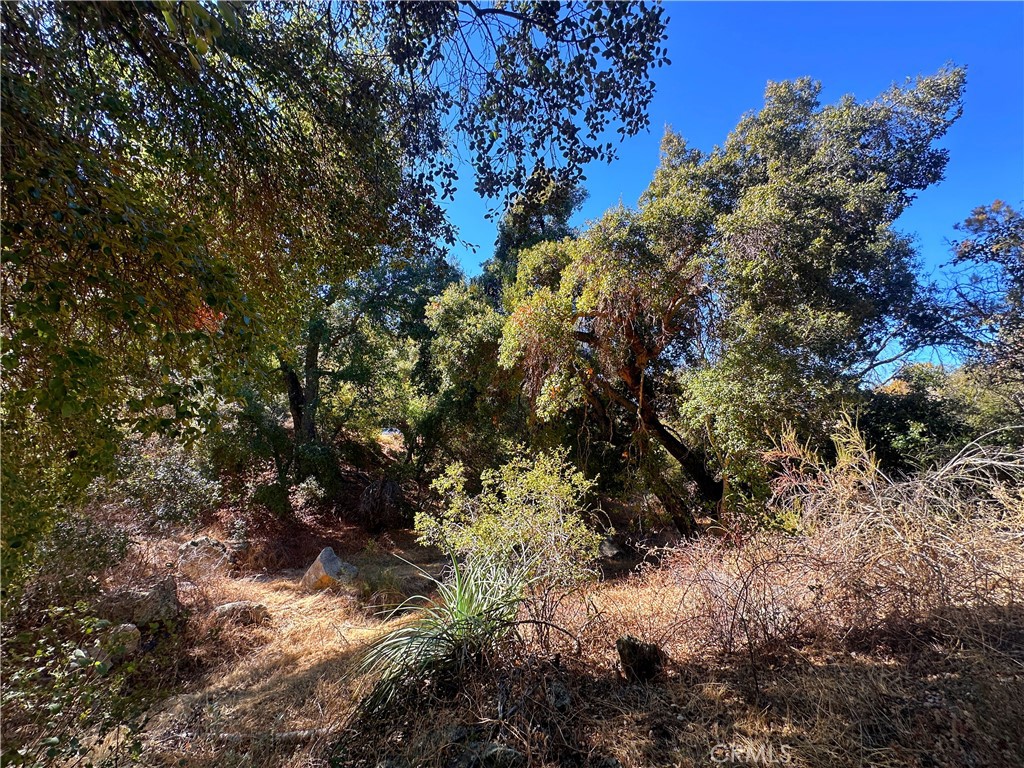 28618 Chihuahua Valley Road Property Photo 11