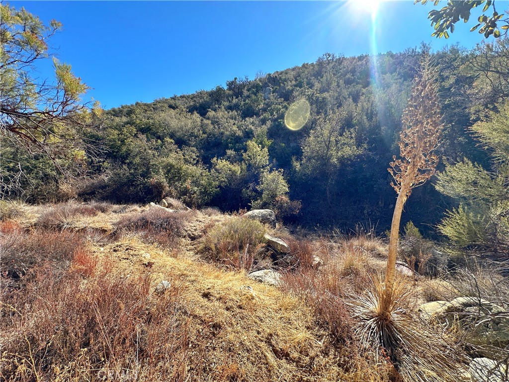 28618 Chihuahua Valley Road Property Photo 13