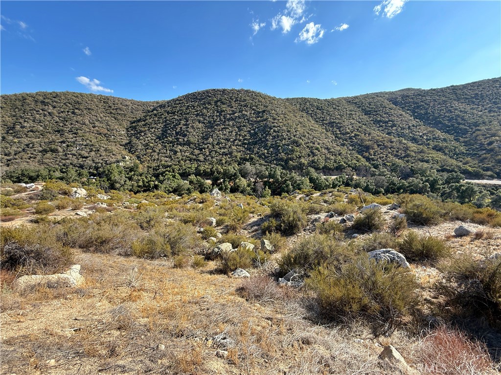 28618 Chihuahua Valley Road Property Photo 21