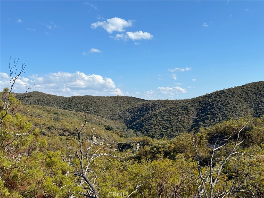 28618 Chihuahua Valley Road Property Photo 24