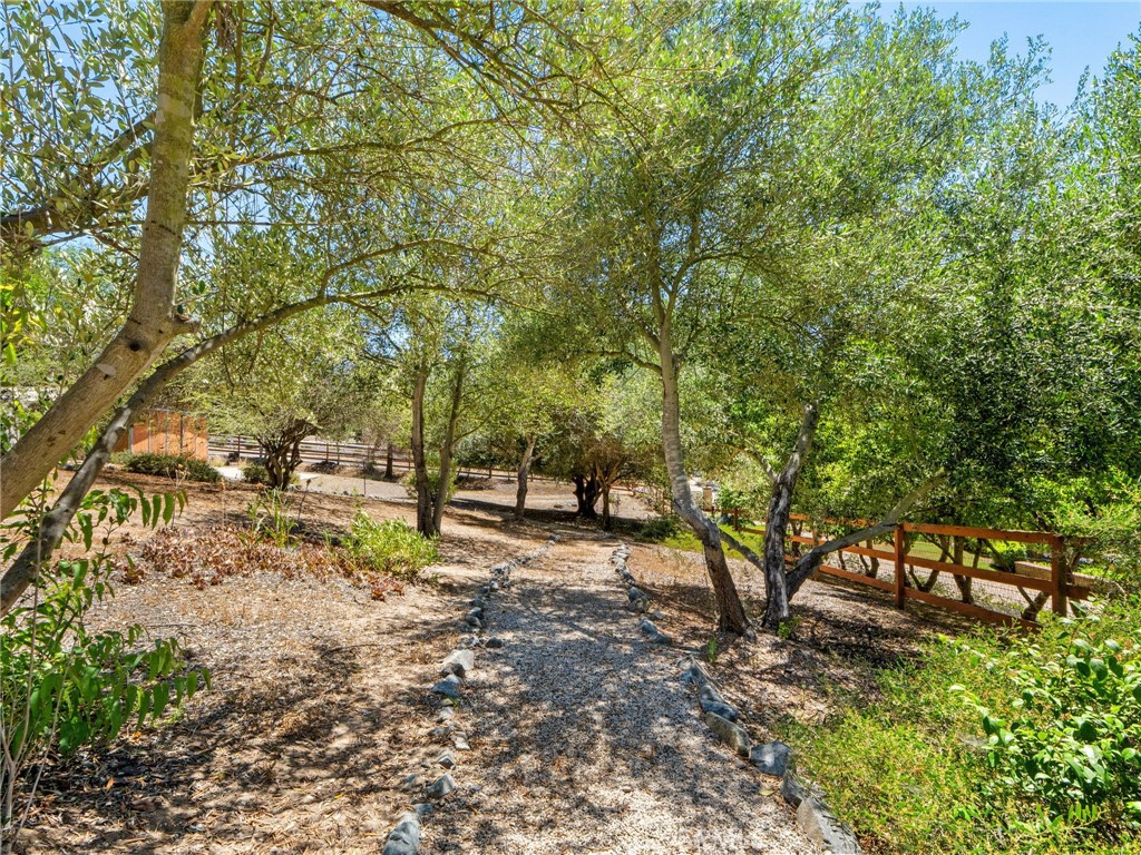 2248 Mil Sorpresas Property Photo 59