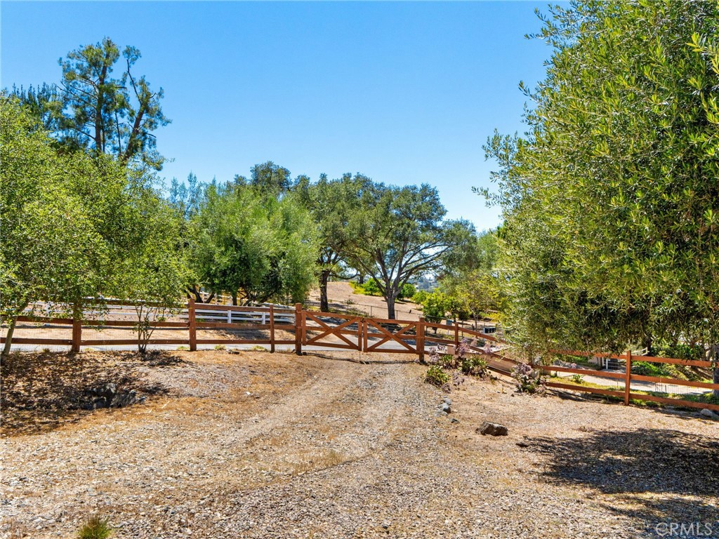 2248 Mil Sorpresas Property Photo 62