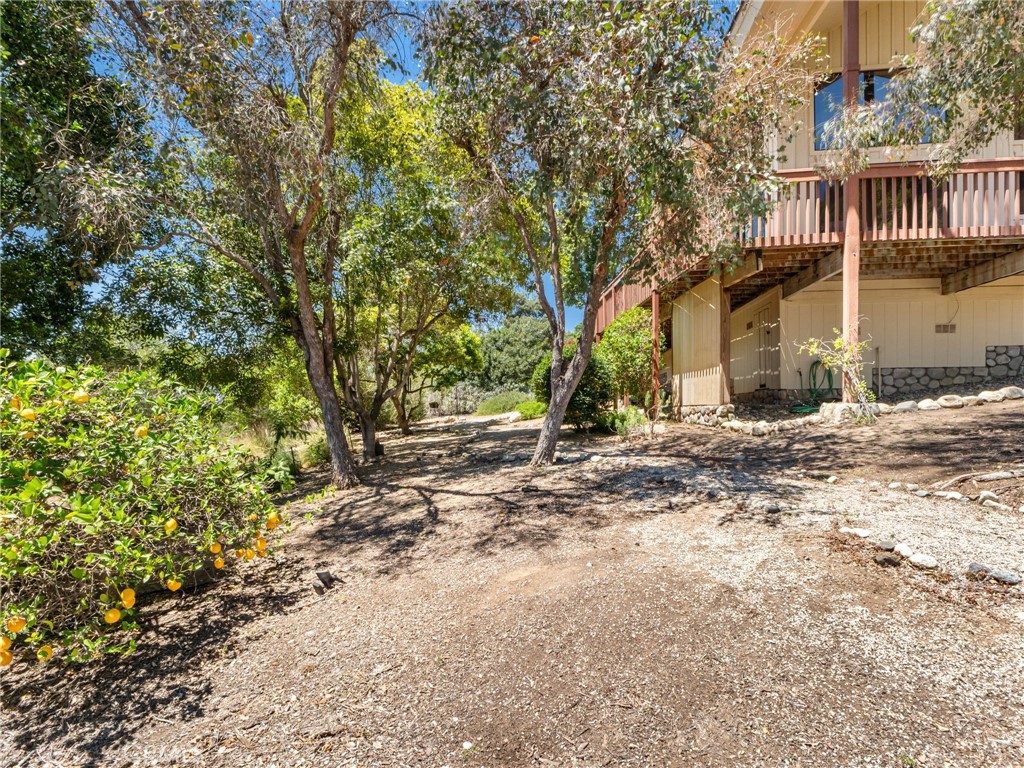 2248 Mil Sorpresas Property Photo 63