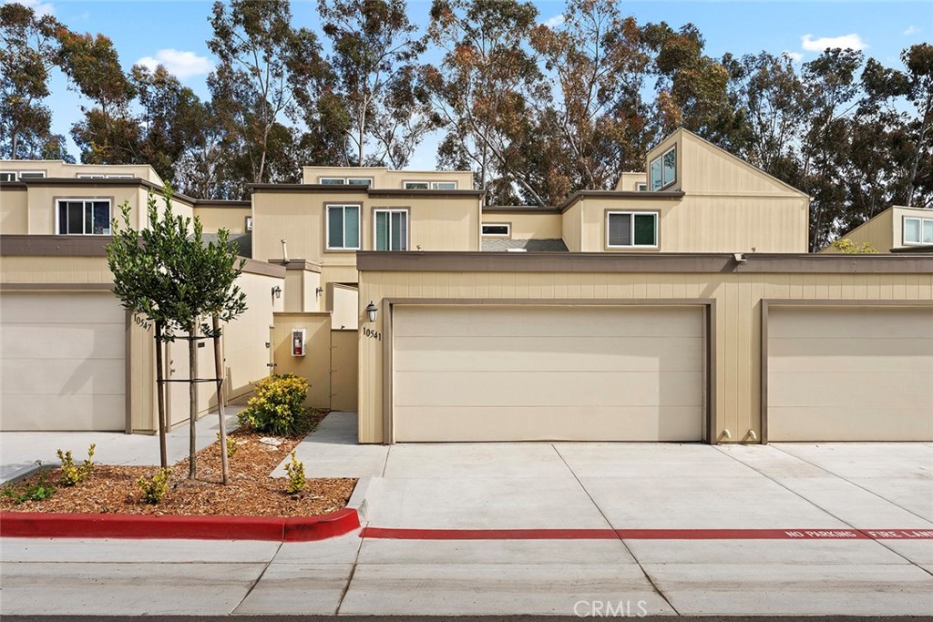 10541 Caminito Basswood Property Photo 3