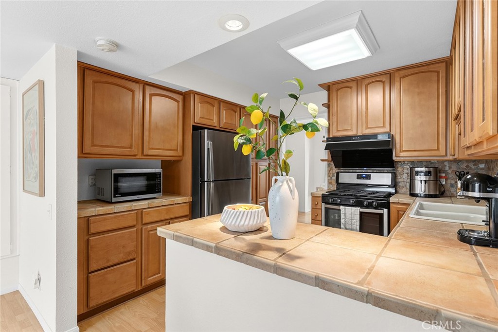 10541 Caminito Basswood Property Photo 12
