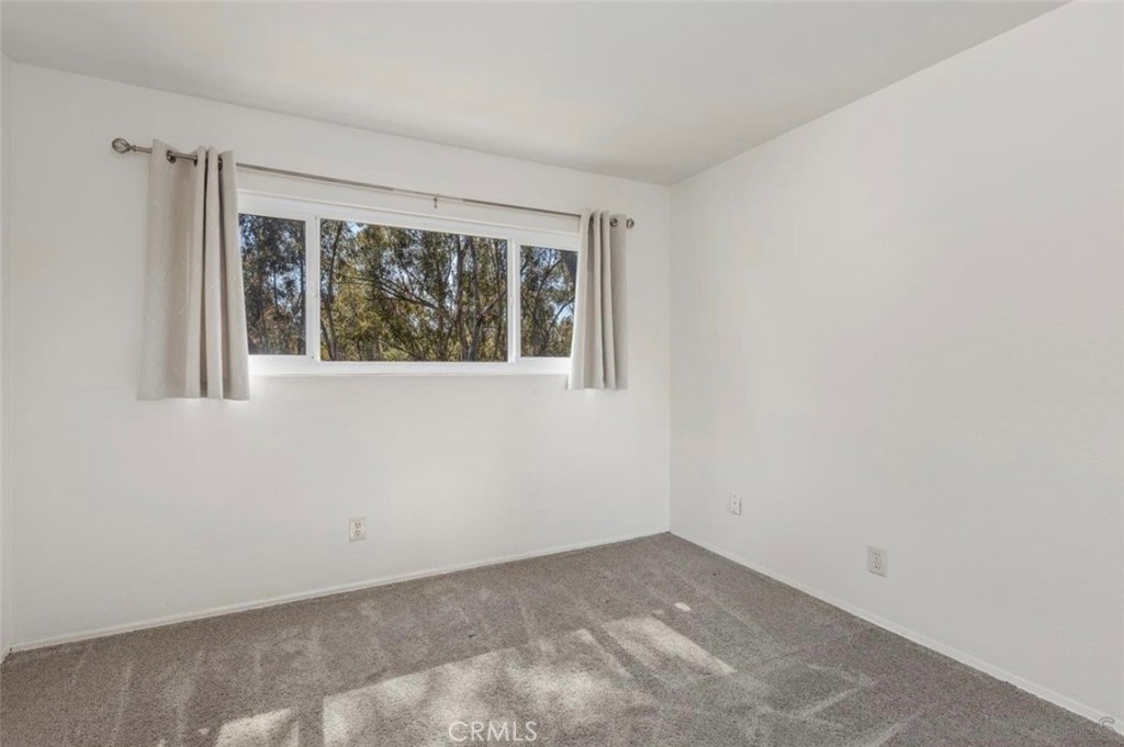 10541 Caminito Basswood Property Photo 33