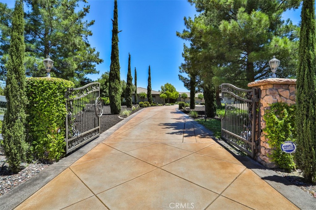 39520 Colleen Way Property Photo 1