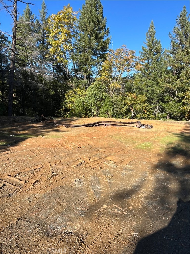 38041 State Highway 3 Property Photo 2