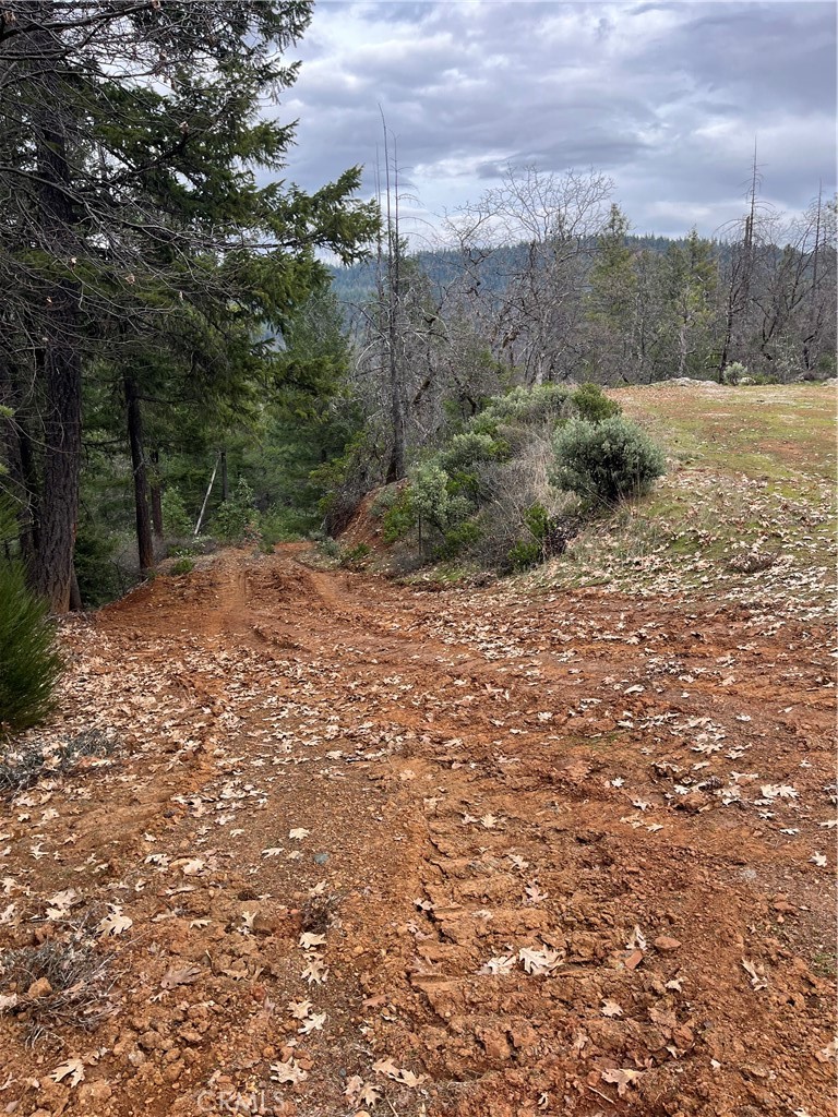 38041 State Highway 3 Property Photo 3