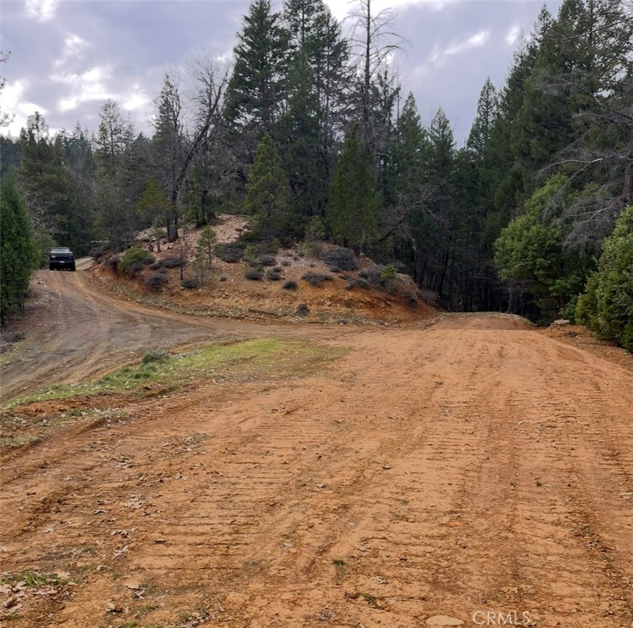 38041 State Highway 3 Property Photo 5