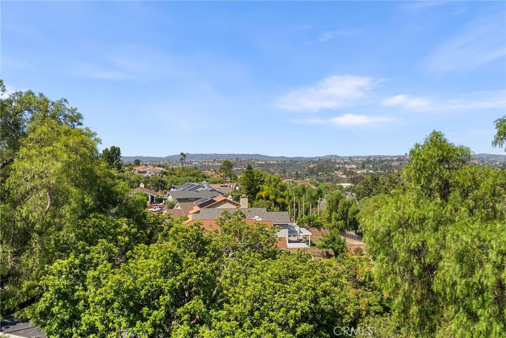 27621 Carballo Property Photo 23
