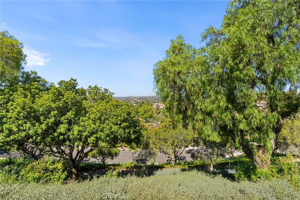 27621 Carballo Property Photo 38