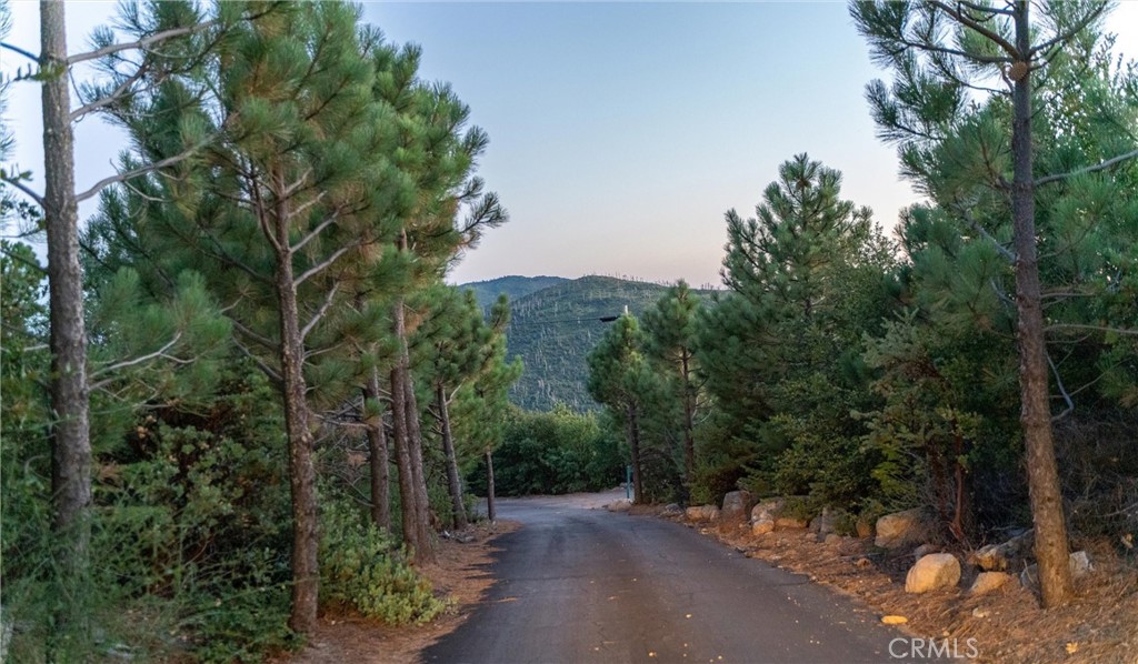 36105 North Peak Property Photo 2