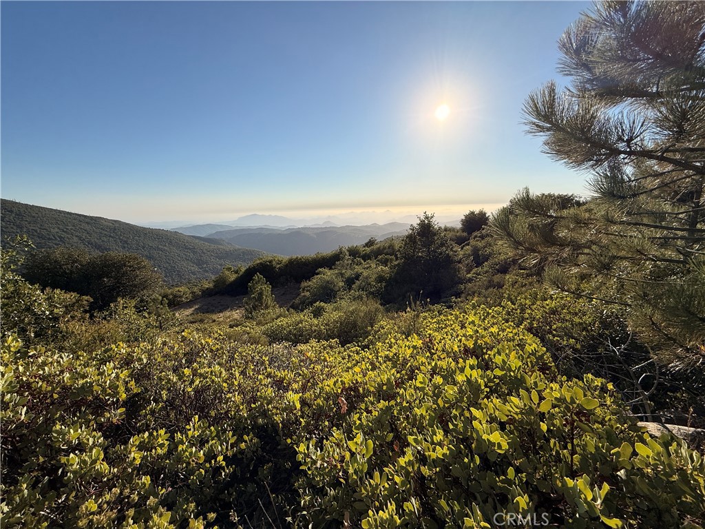 36105 North Peak Property Photo 15