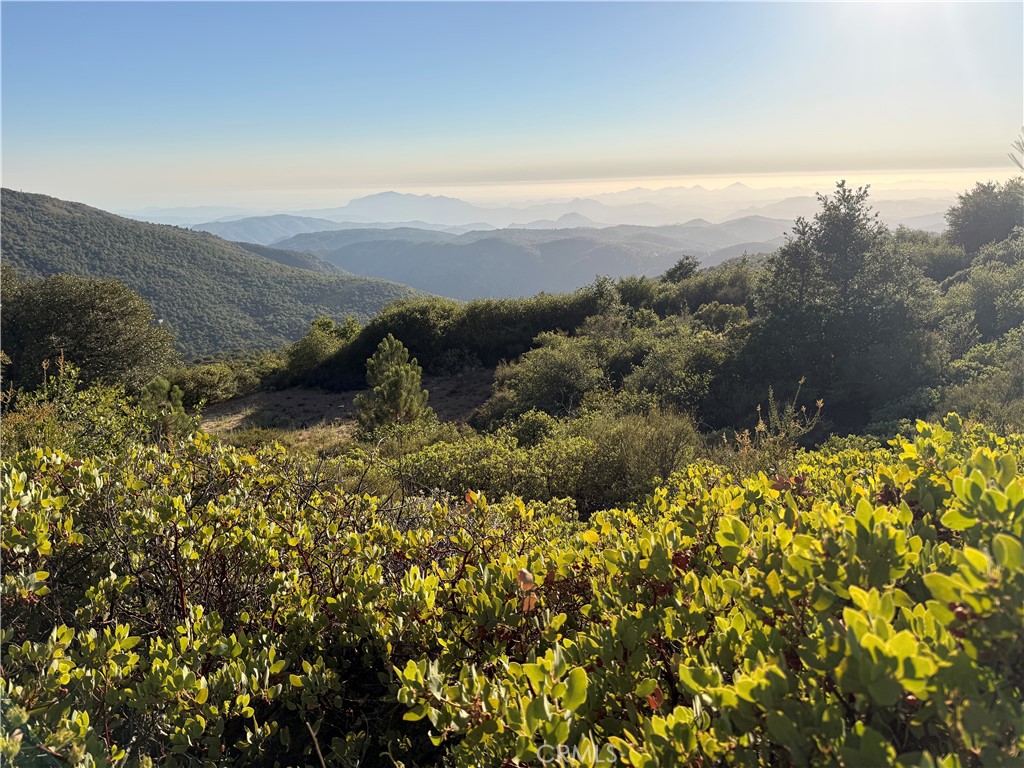 36105 North Peak Property Photo 16