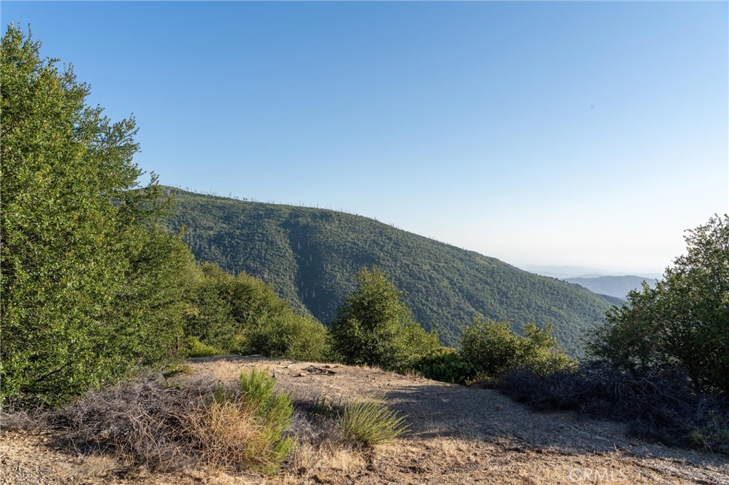 36105 North Peak Property Photo 21