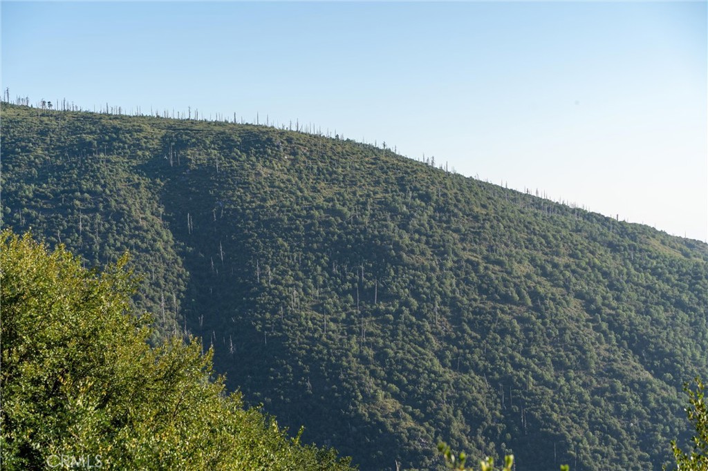 36105 North Peak Property Photo 25