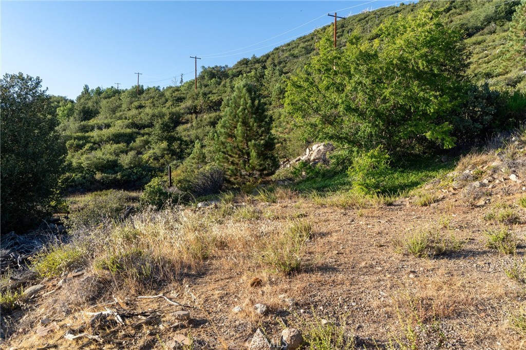 36105 North Peak Property Photo 31