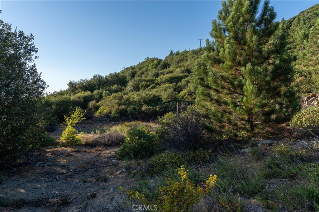 36105 North Peak Property Photo 32