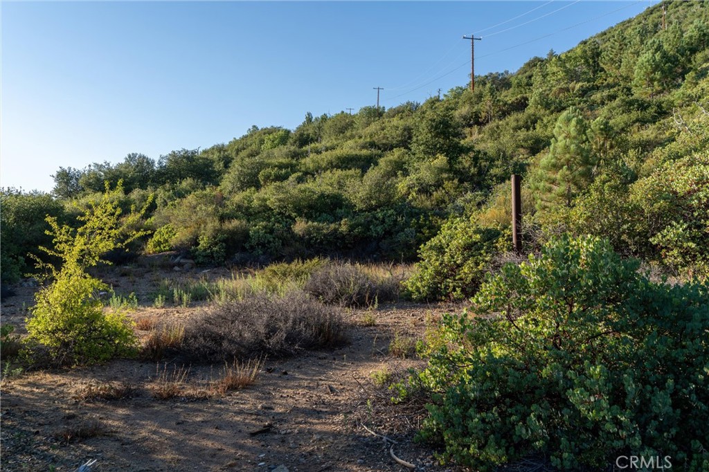 36105 North Peak Property Photo 36