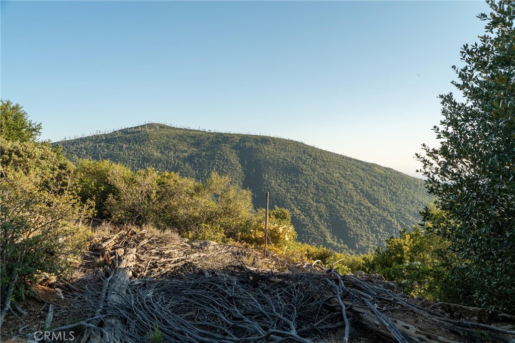 36105 North Peak Property Photo 37