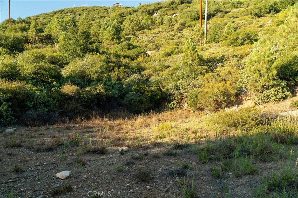 36105 North Peak Property Photo 39