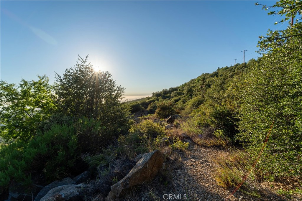 36105 North Peak Property Photo 43