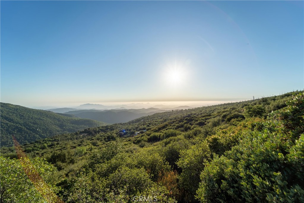 36105 North Peak Property Photo 49