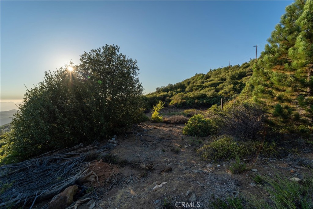36105 North Peak Property Photo 52