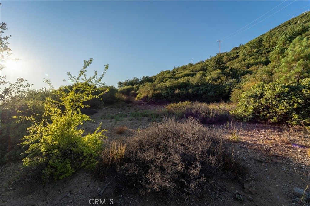 36105 North Peak Property Photo 53