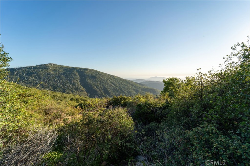 36105 North Peak Property Photo 54