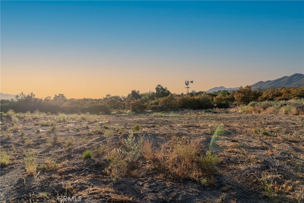 37626 Cruces Property Photo 59