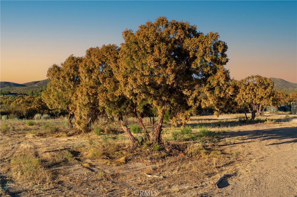 37626 Cruces Property Photo 60