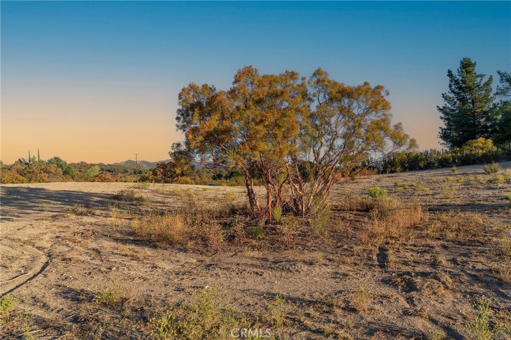 37626 Cruces Property Photo 61