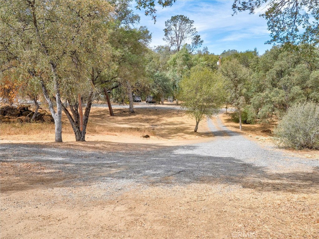 41972 Lilley Mountain Property Photo 34