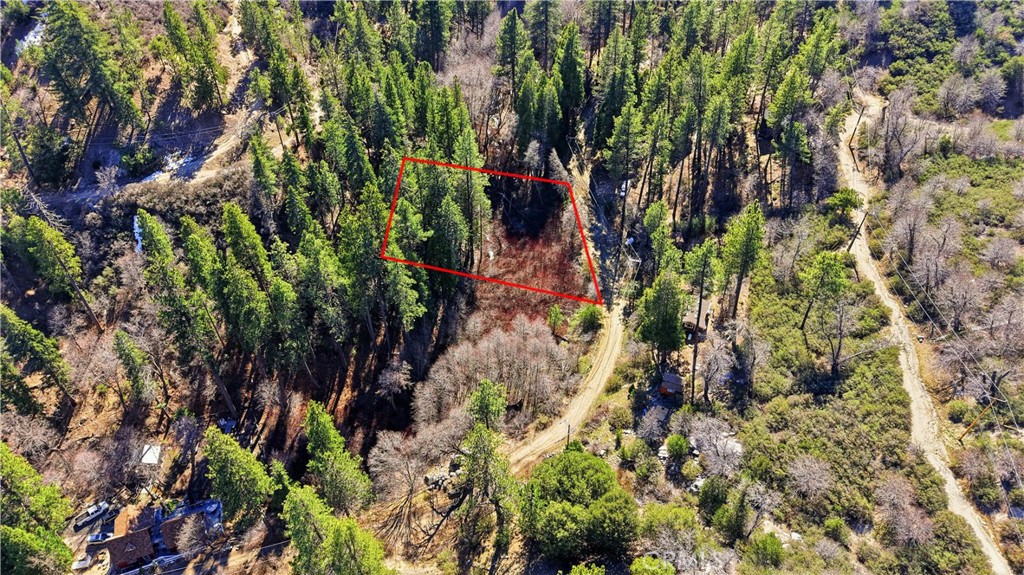 0 Little Bear Creek Road Property Photo 5