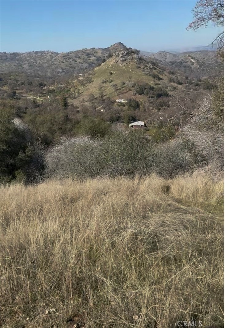 0 Chuckwagon Road Property Photo 3