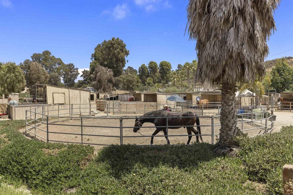 13998 Old El Camino Real Property Photo 21
