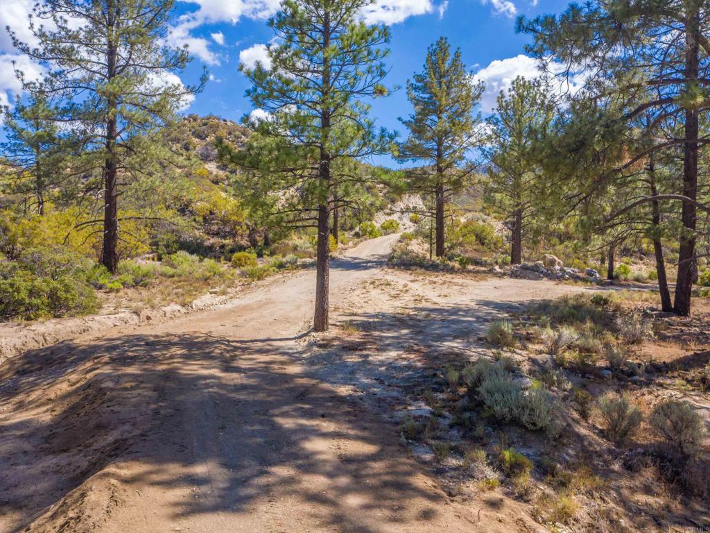 60833 Table Mountain Rd Property Photo 4