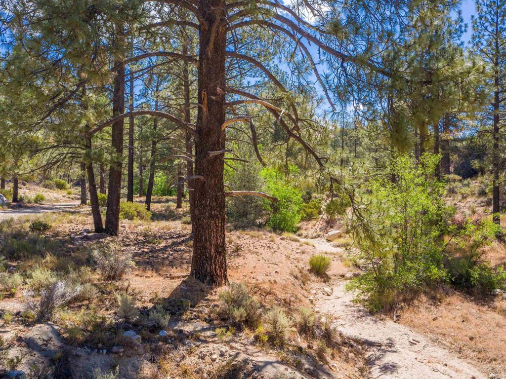 60833 Table Mountain Rd Property Photo 5