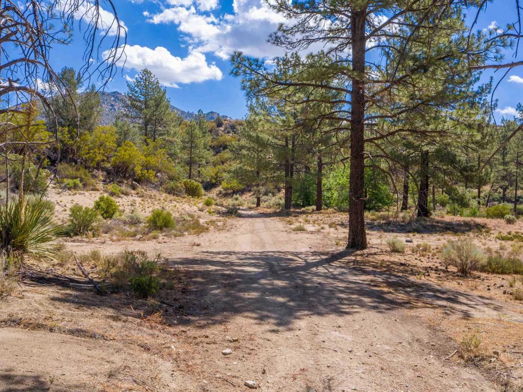60833 Table Mountain Rd Property Photo 7