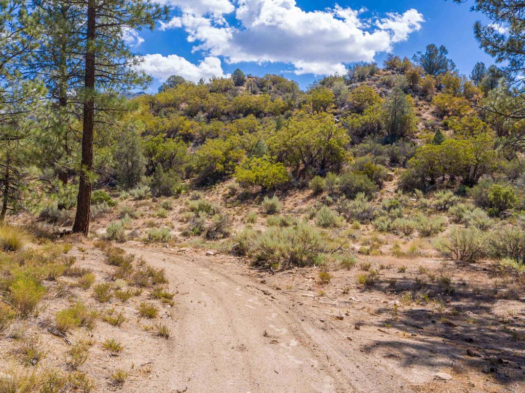 60833 Table Mountain Rd Property Photo 9